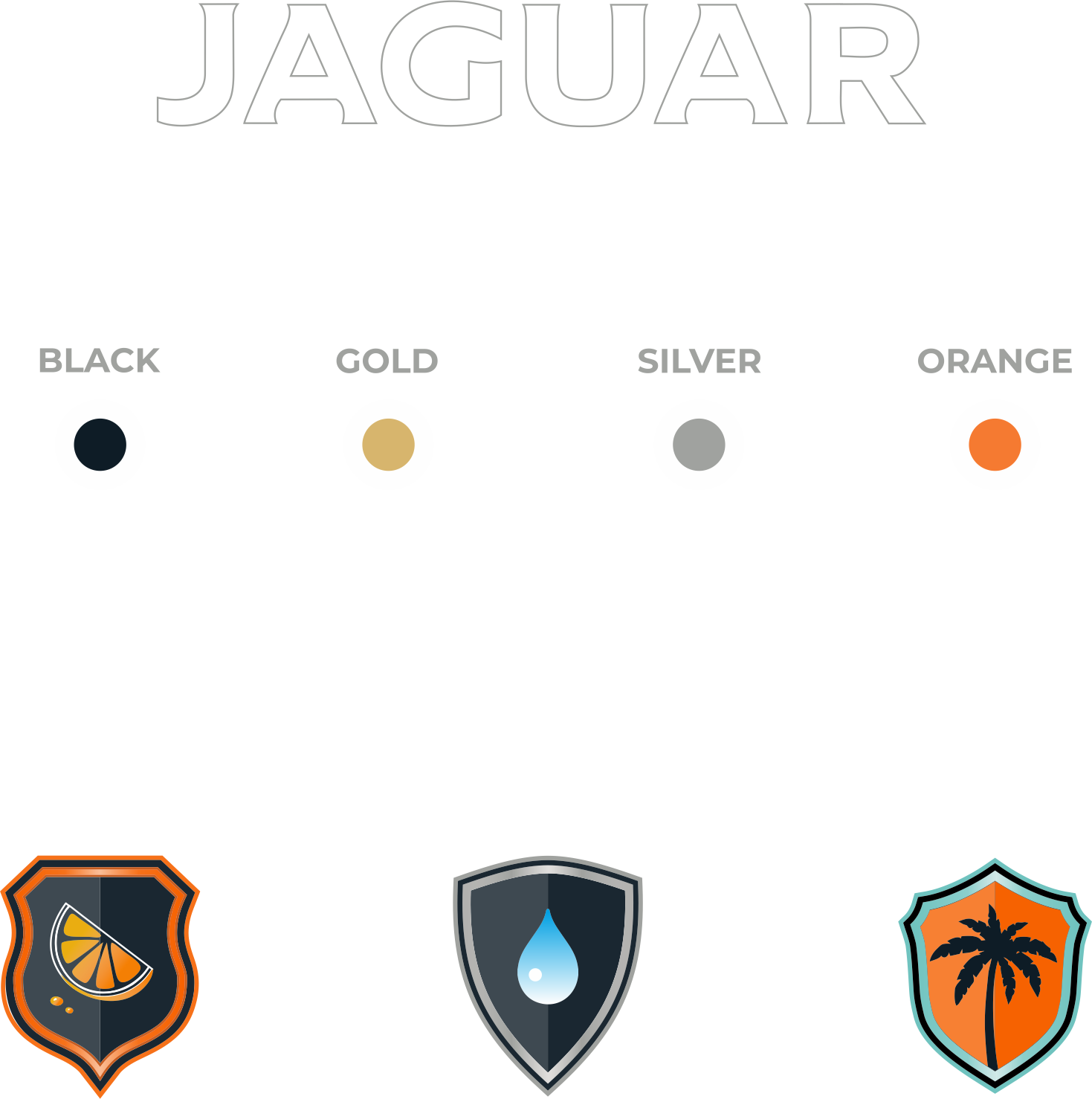 Jaguar identity system: symbol, logotype and supporting elements